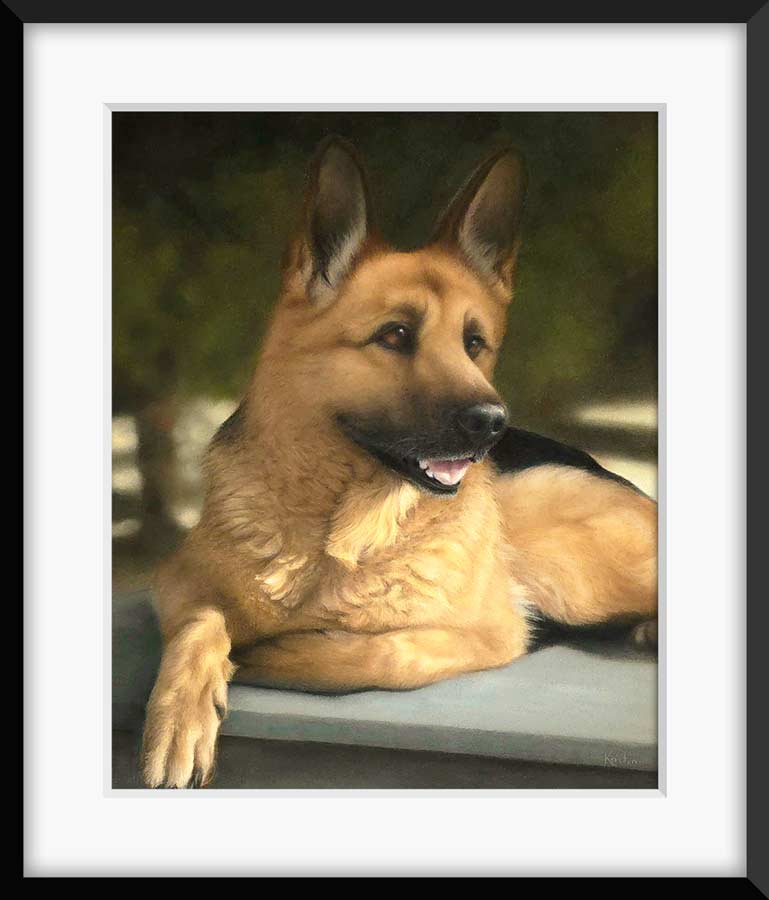 Hyper-realistic pastel drawing of german shephard sun bathing on deck, custom pet portrait artwork by Kristen Ohlsson.