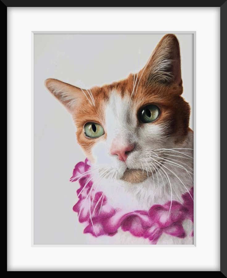 Hyper-realistic pastel drawing of orange tabby cat, custom pet portrait artwork by Kristen Ohlsson.